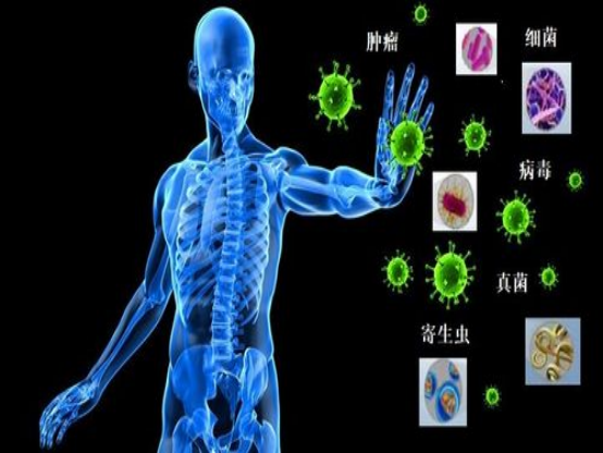 50岁后适度行事，中老年常见的7种健康问题，或能有助改善