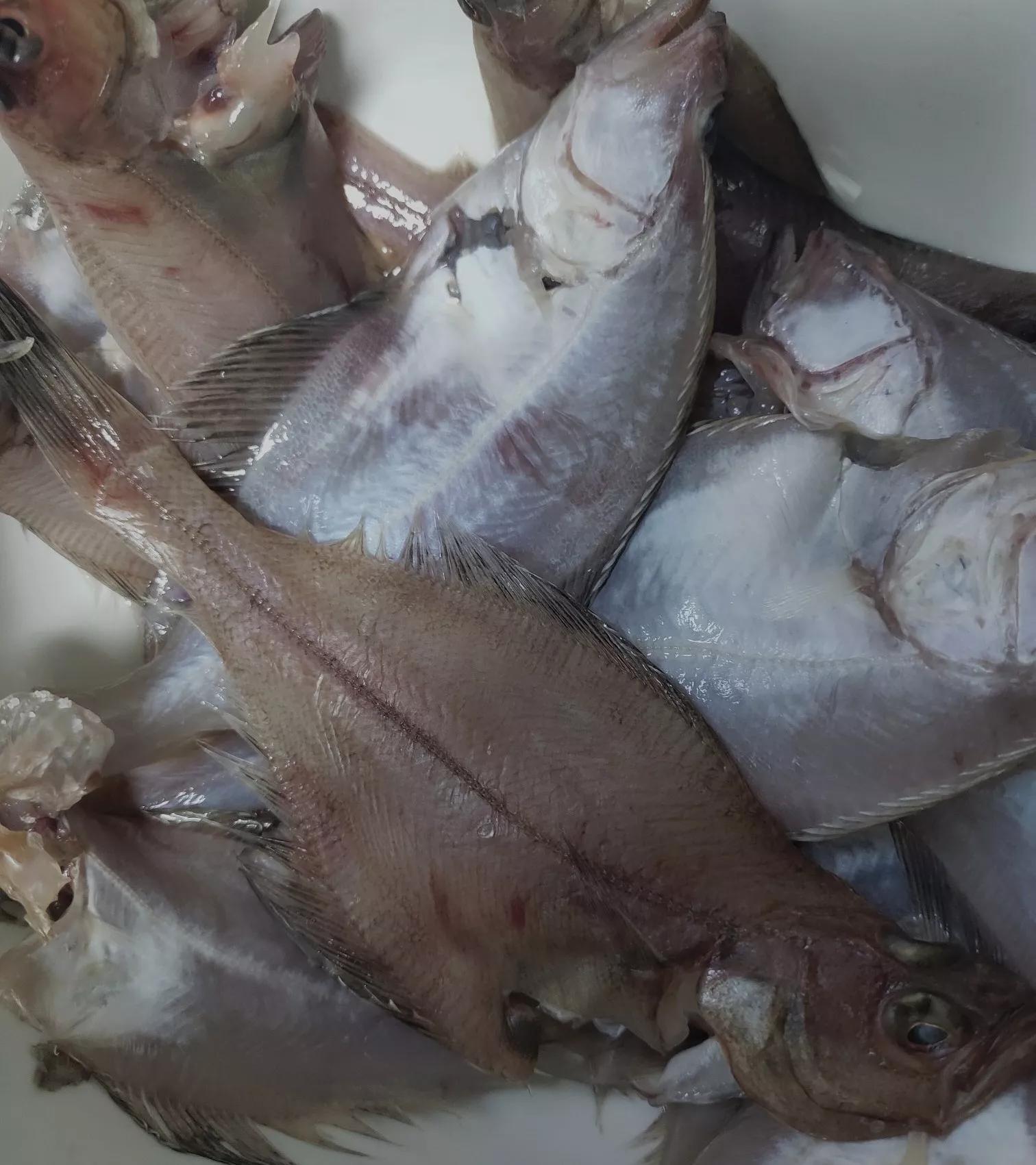 高考这几天吃什么（距高考99天）