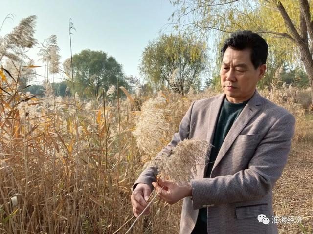 牡丹画家杨晓新其人其画 撰稿：张亚明