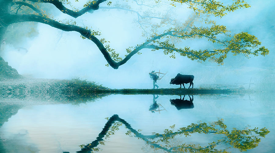 160句赞美春天的诗句，每一句都是精选！一定要读一读