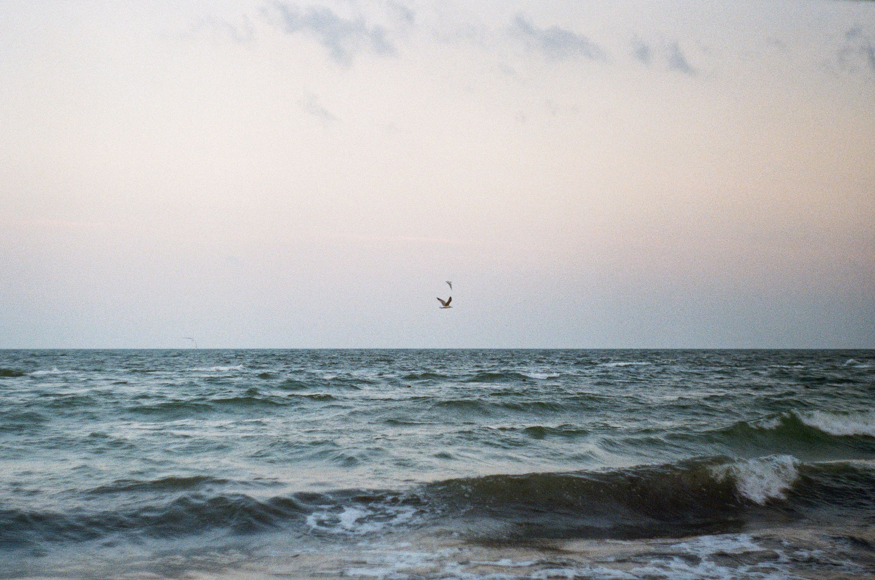 《人生大事》：这世间，除了生死，都是小事