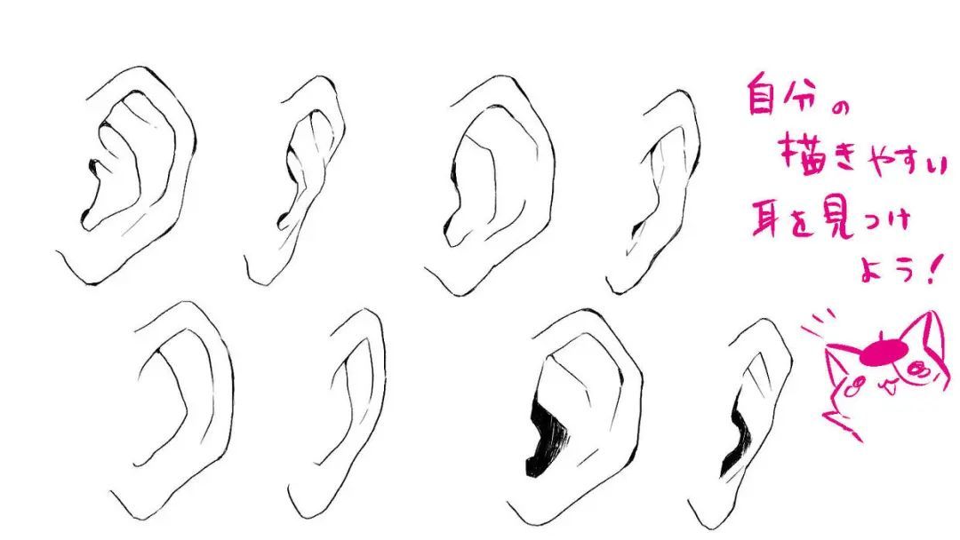 耳朵外形图图片