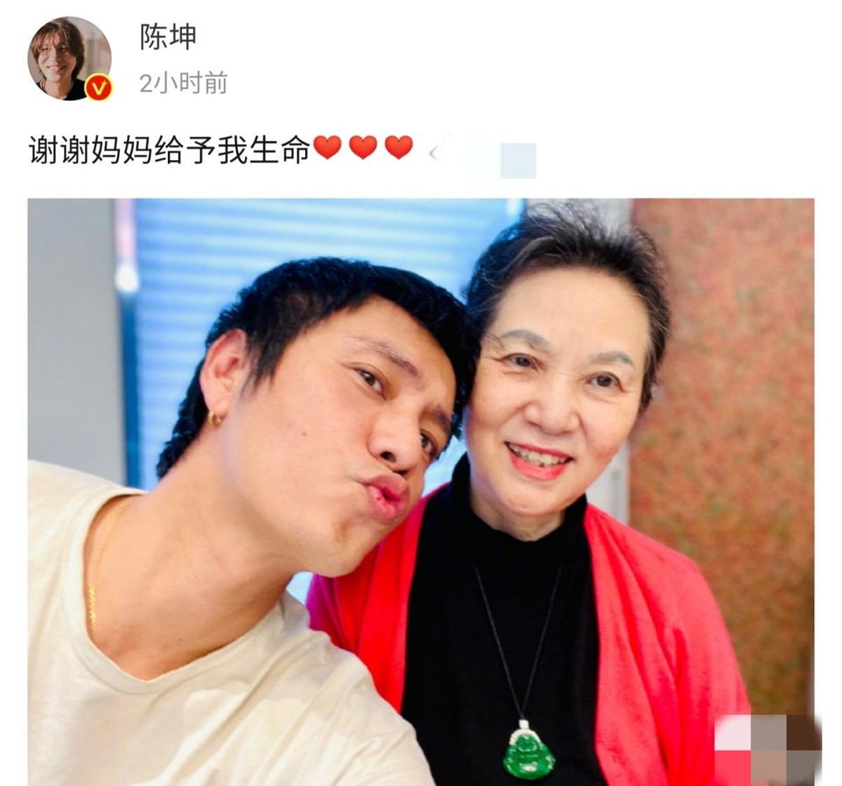 陈坤妈妈,陈坤儿子也不知道妈妈是谁