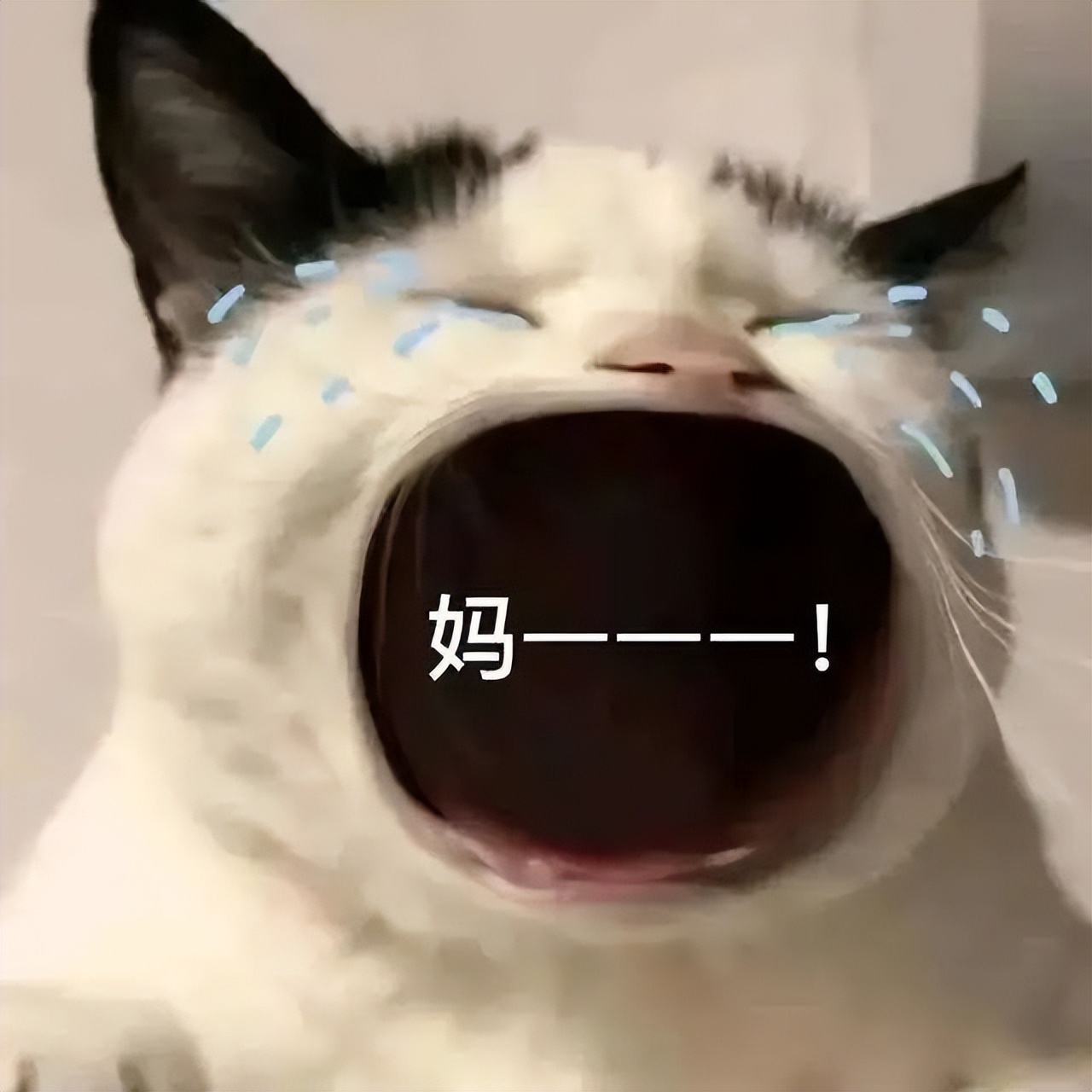 《梦华录》剧情狗血？但它真的戳穿了异地公务员的心酸