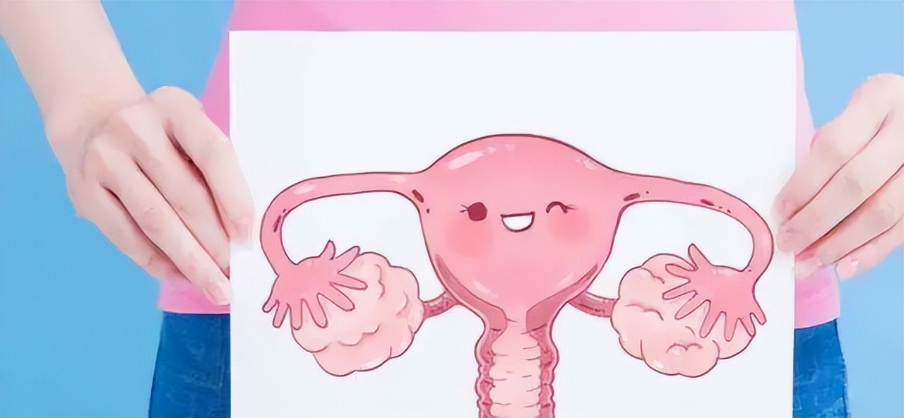 子宫壁薄怎么办（子宫内膜太薄了，如何给它施点“肥”？）