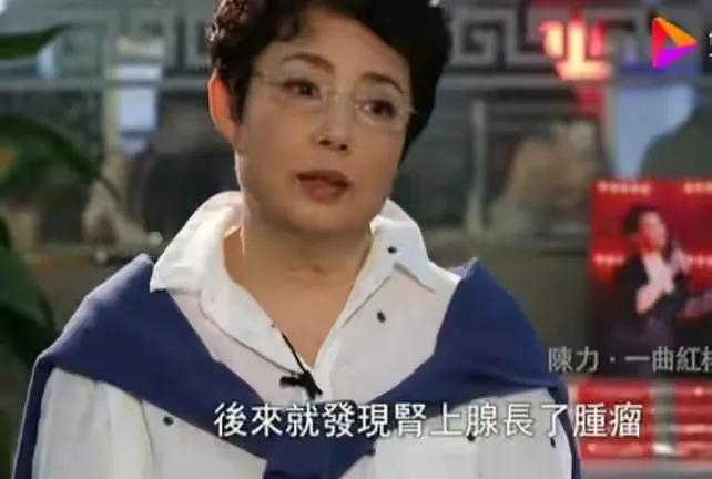 陈力：《红楼梦》天籁之音后，丈夫去世，经商被骗，癌魔缠身
