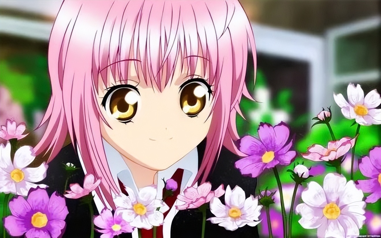 圣夜学院「圣夜学院在.哪里」-爱妻自媒体