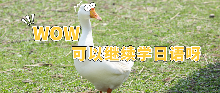 盘点开设大学日语公共课程的高校名单