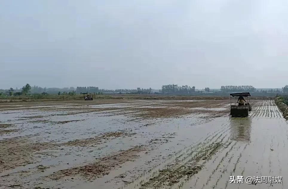 澧县官垸镇：春耕抓农时 早稻机插忙