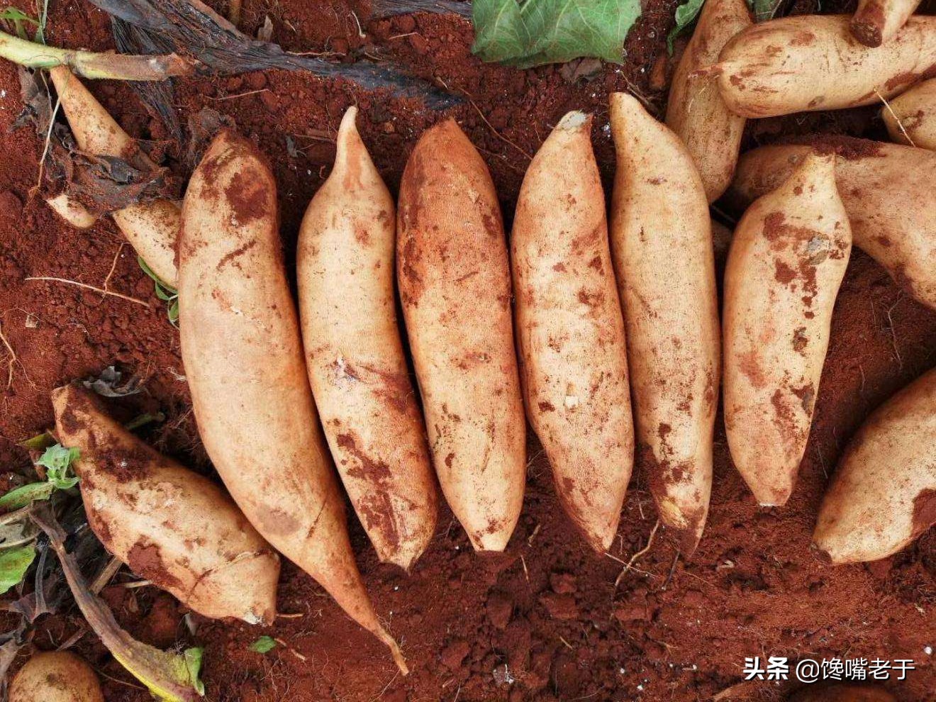 建议中老年人：过年买水果，这5种可以放心吃，低糖好吃营养高