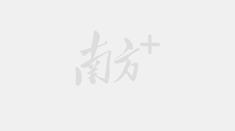 什么样的礼花什么样的绽放（对于一朵花来说最重要的是什么）