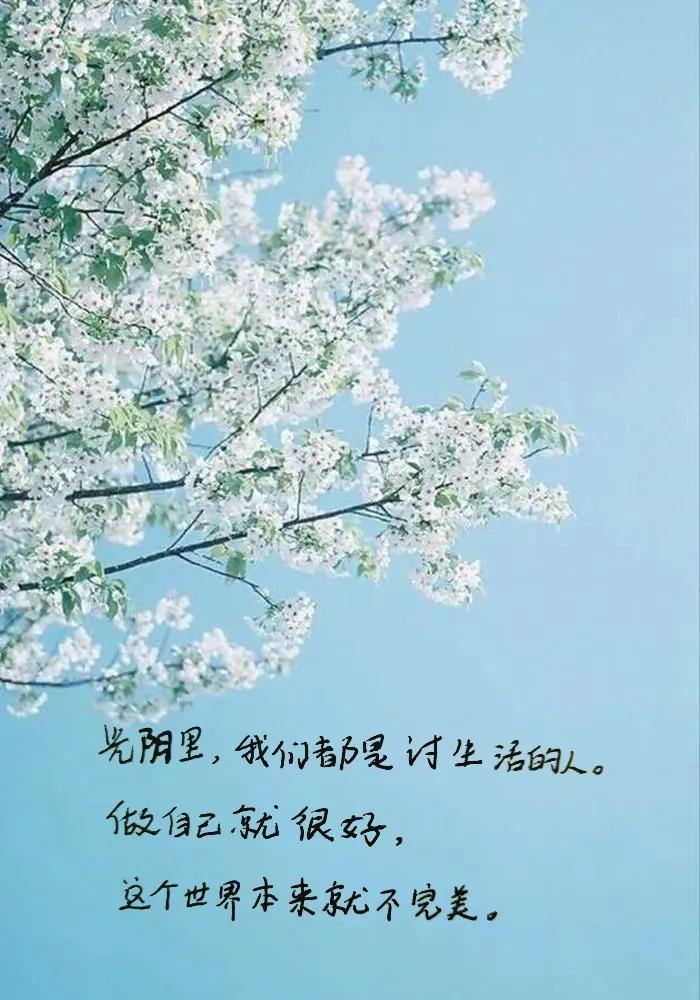 自己一个人挺好的简短说说(自己一个人挺好的句子 )_爱阅读