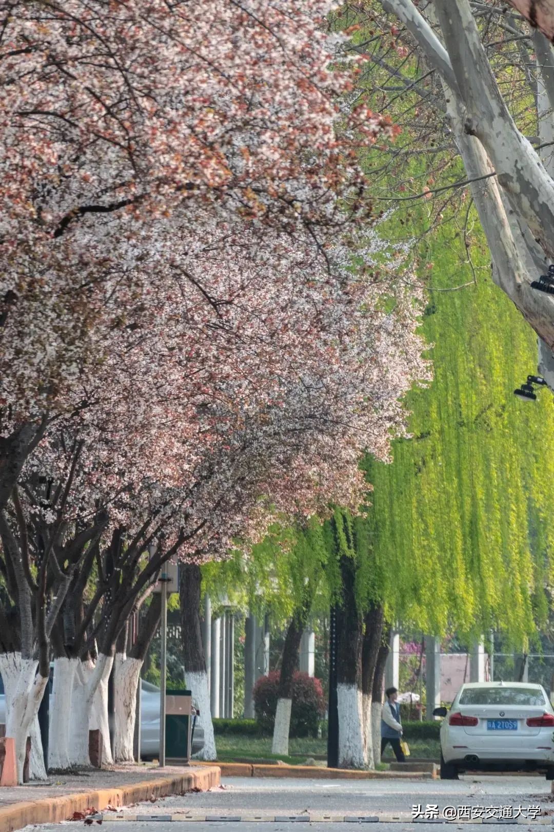 高考必胜，圆梦今夏！我们在交大等你