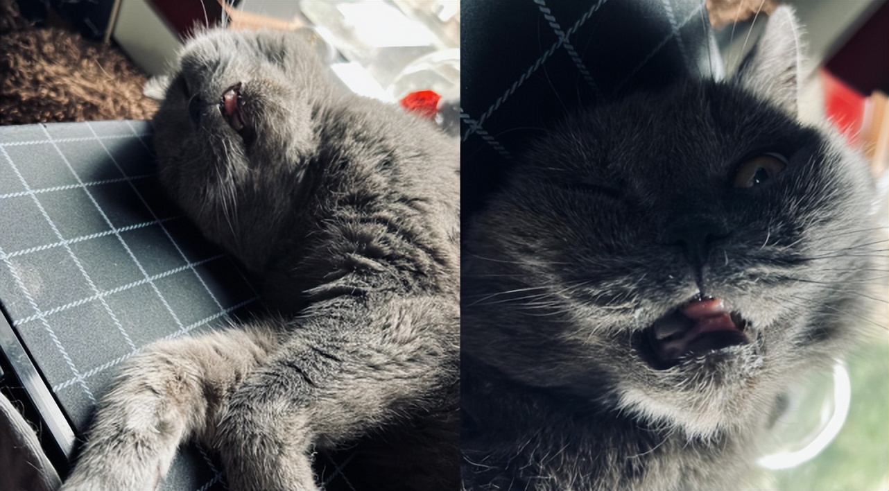 张国立儿子张默再引争议，飙脏话大骂媒体，否认自己精神状态差