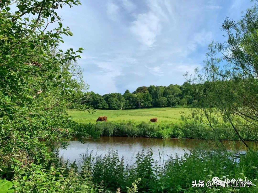 英国硕士毕业后我回国进央企做HR，负责校招的我想给你一点忠告