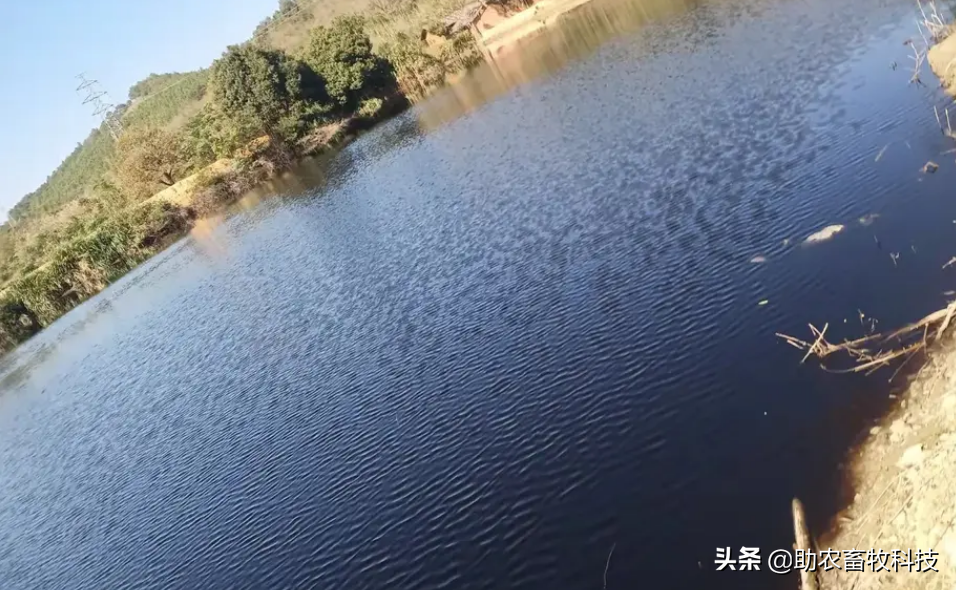 运用微生物（益生菌）除臭剂进行废水处理好处多