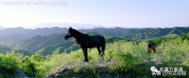 日本观众好评：中国电影《哈日夫》来日试映