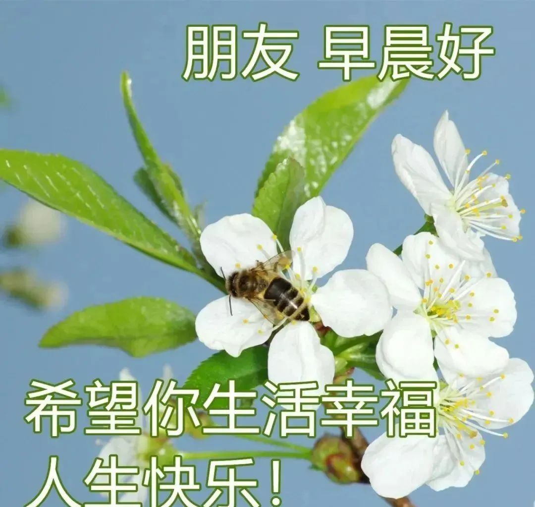 3月21日群发简短祝福语精选，微信群发快乐早安表情动态表情图片