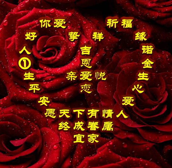 今日首发,愿天下有情人终成眷属,爱缘,祝福表情包图集收藏版