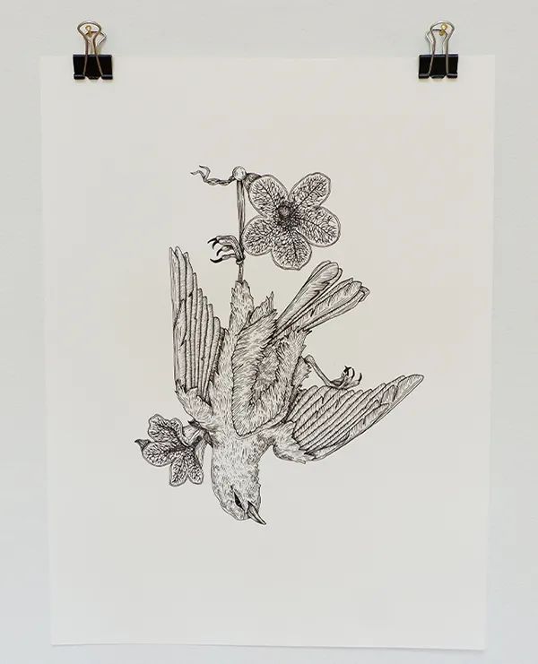 2021年帕森斯设计学院插画设计毕业展（BFA）