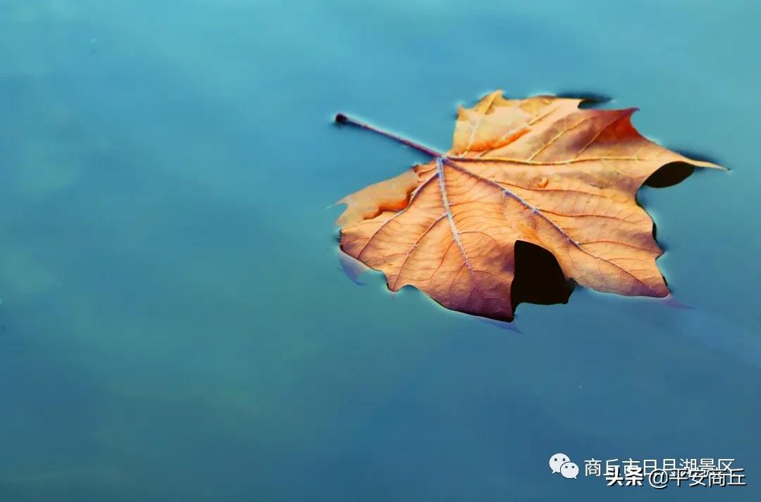 【商丘美景】红橙黄绿,赋予日月湖无限美好