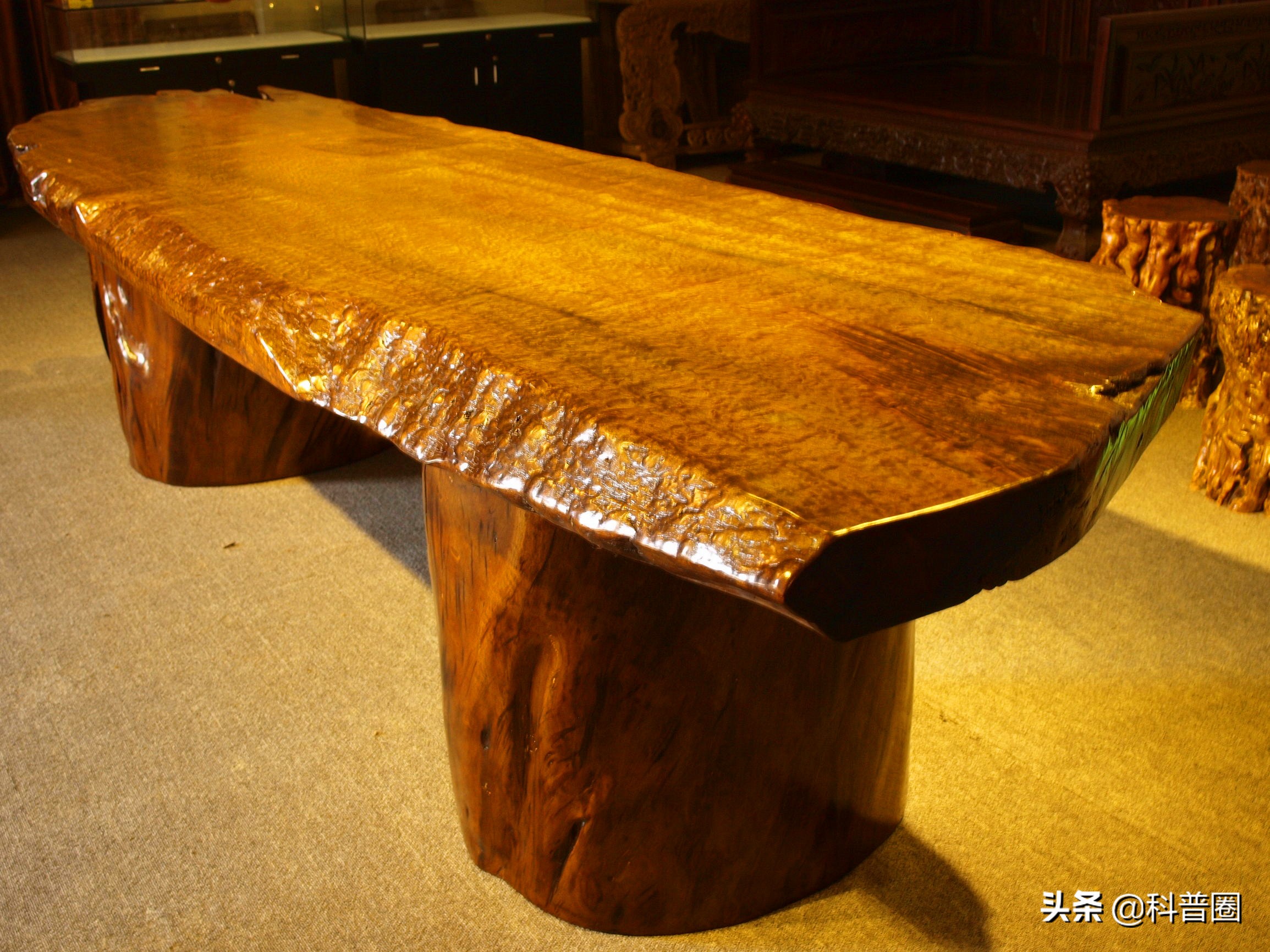 正宗金丝楠木图片(疯狂的金丝楠木) - 赤虎壹号