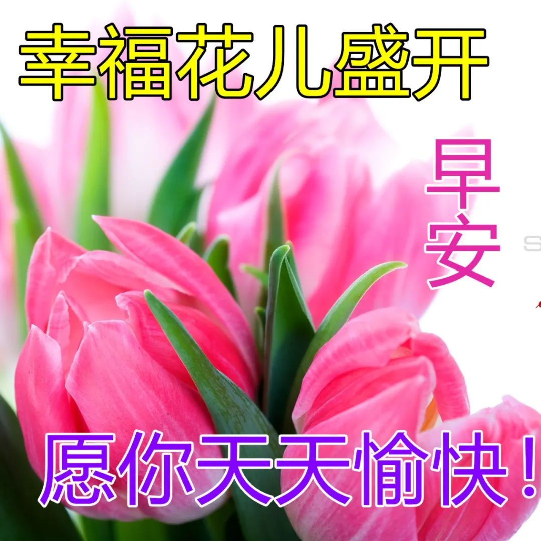 3月18日週五早上好唯美祝福溫馨圖片,正能量祝福美句,天天開心