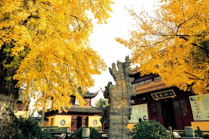 苏州16个绝美赏秋圣地，大部分免费，别错过