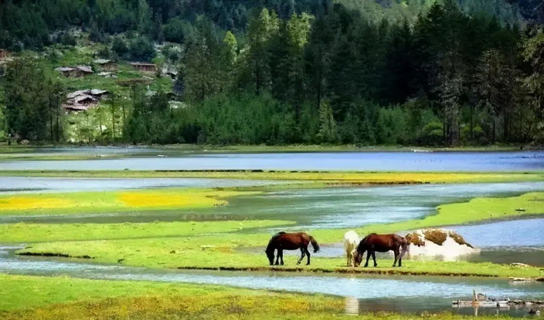 國內此生必去的10個旅行地，看到第一個就想出發，你去過幾個呢？