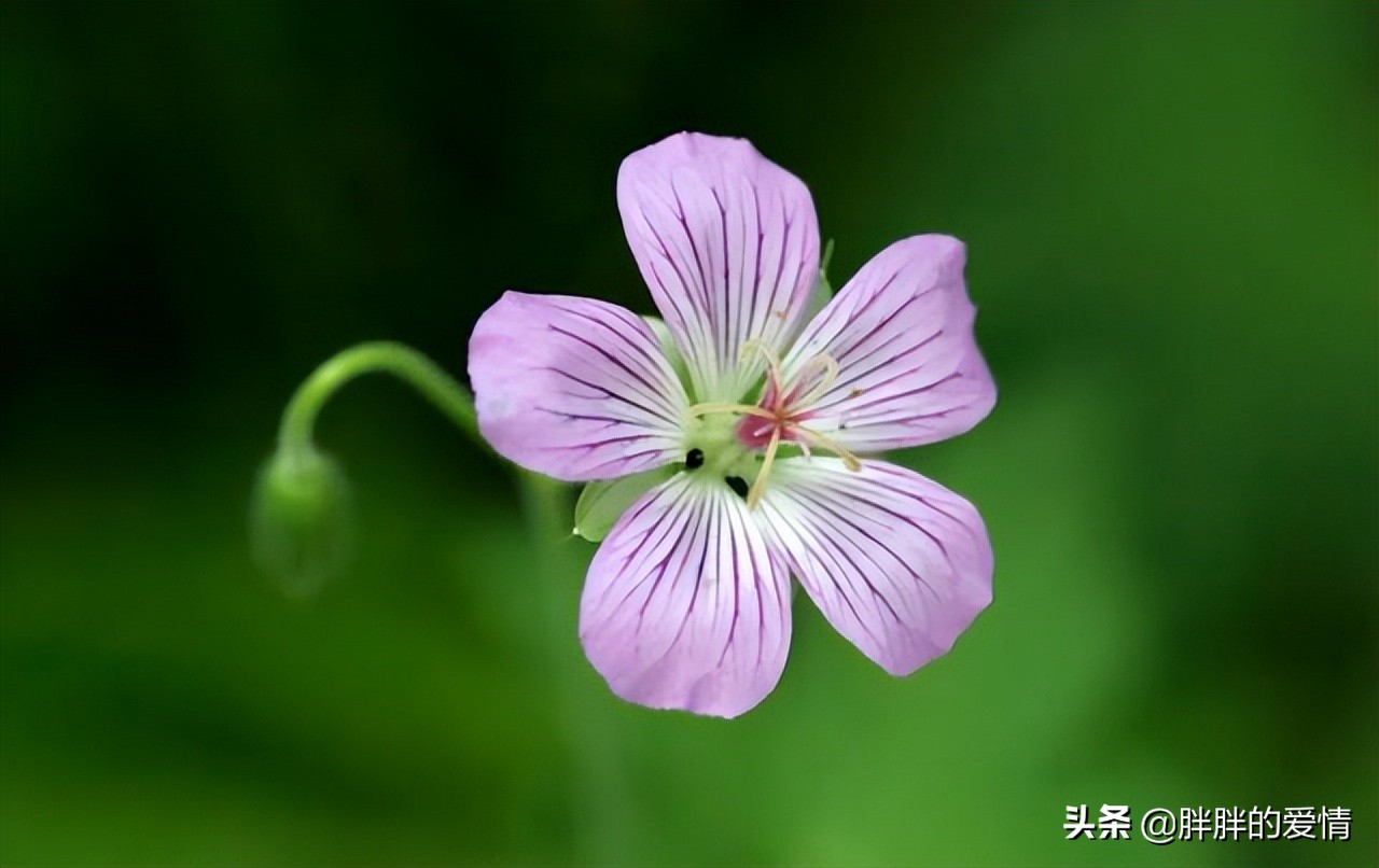 往事归零，爱恨随意；从此山水不相逢，不问旧人长与短