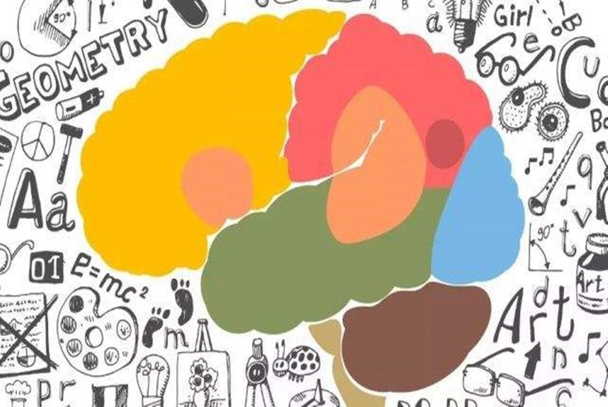 都说第一个出生的娃更聪明，那为啥有“老二聪明老大呆”的说法？