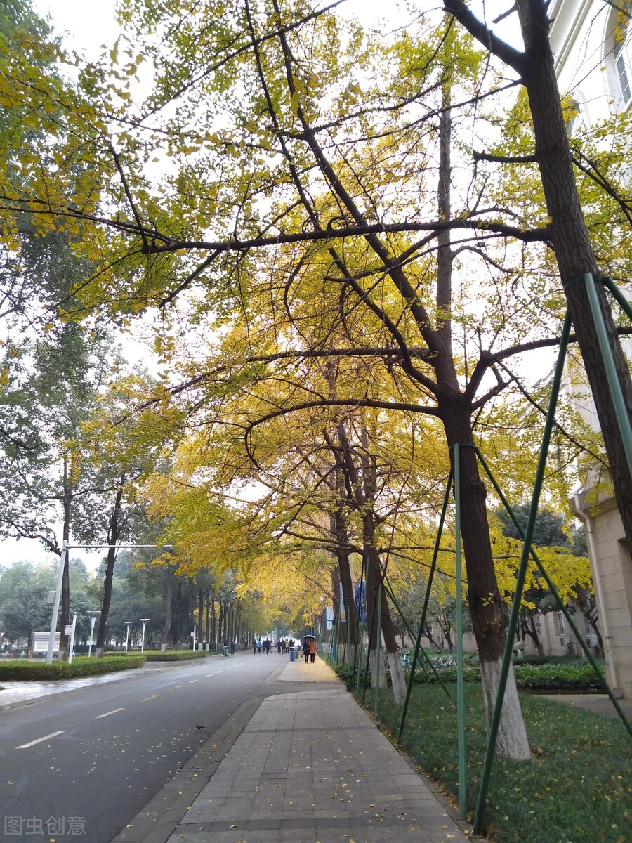 预期翻番的三个数字货币强势品种分析