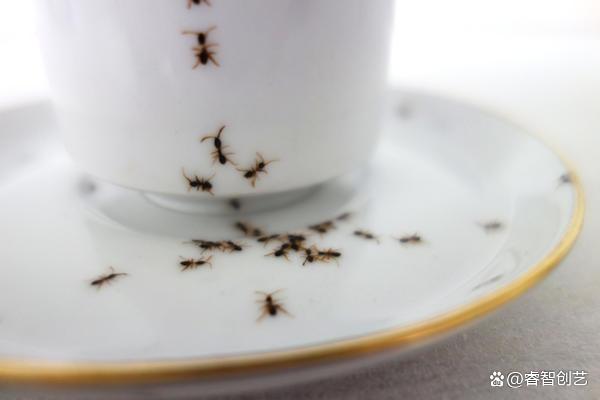 面对爬满餐盘的蚂蚁你会如何？Evelyn Bracklow的陶瓷餐具创作