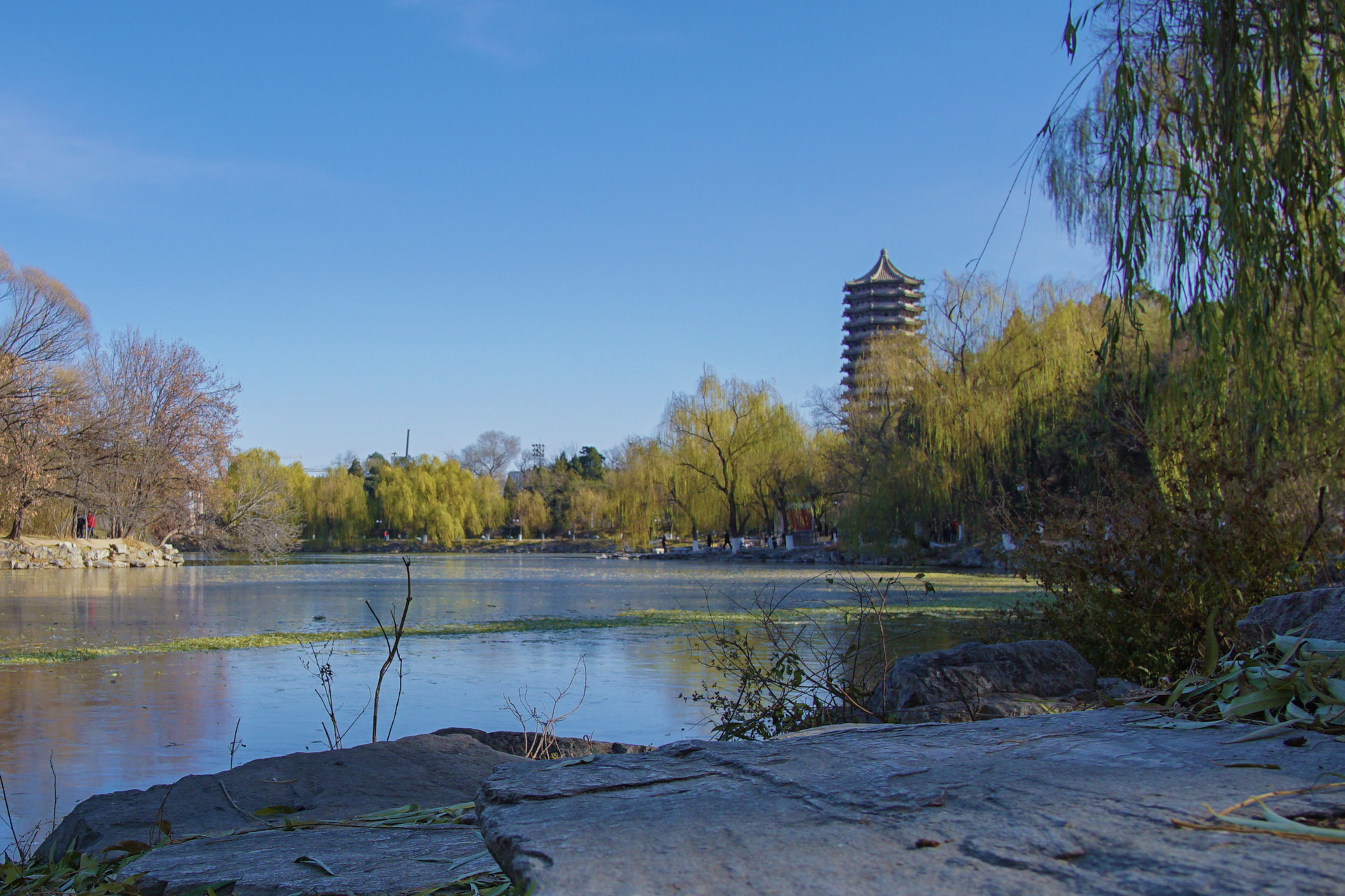 北大院长发表观点，大学专业无冷热之分，遭网友齐声讨伐