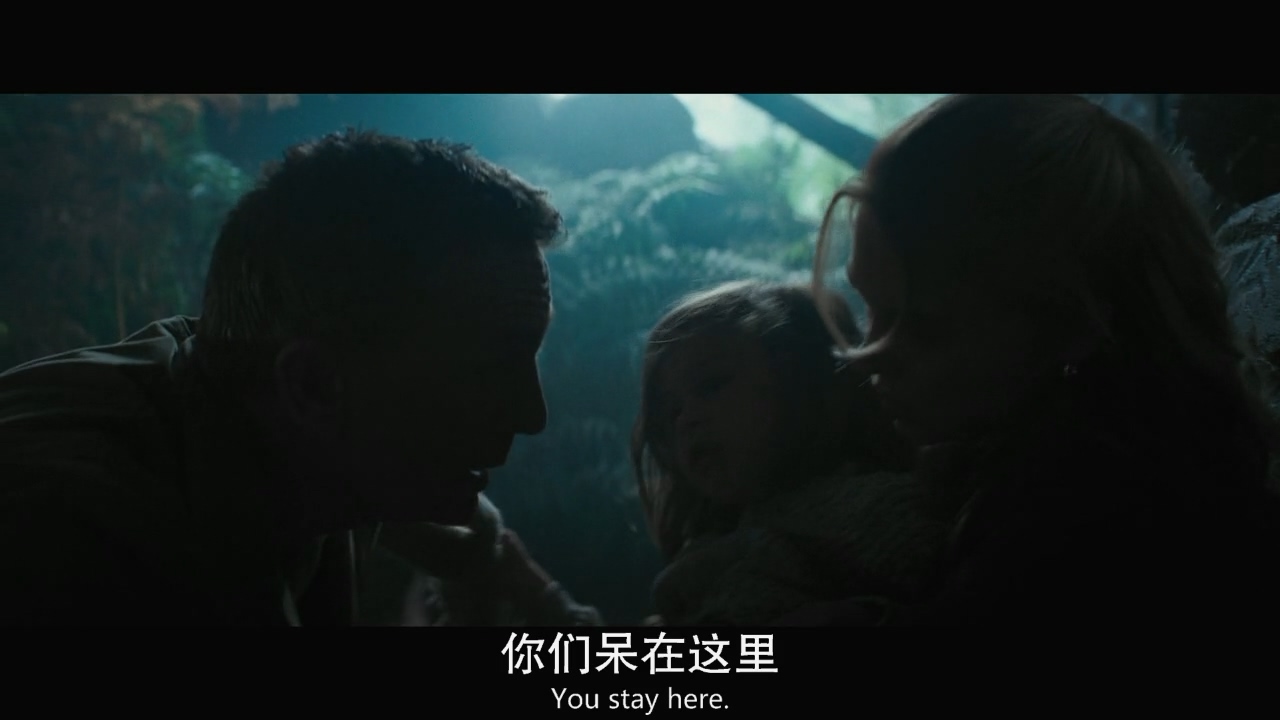 大猛哥说电影——《007：无暇赴死》——邦德同志这次真的死了