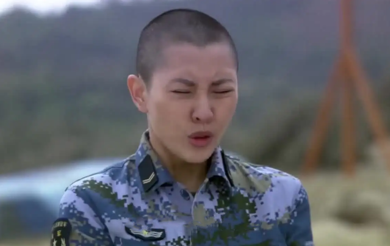 经典军旅剧《火蓝刀锋》：12位让人印象最深刻的角色