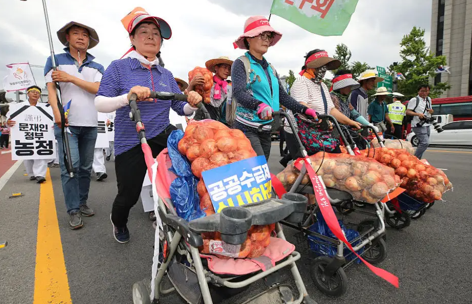 韩日世界杯为什么韩国在钱(身为发达国家，却吃不起白菜？韩国天价白菜的背后隐藏着什么？)