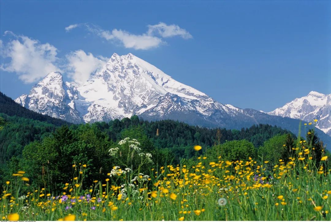 胡杏儿、张歆艺唱哭全场：好好跟过去道别，才有力量奔赴未来