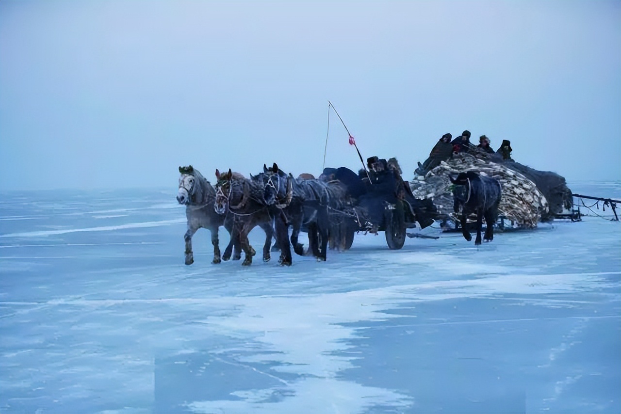 冬天的日本旅游景点（你知道，东北的冬天哪些地方最好玩吗？）