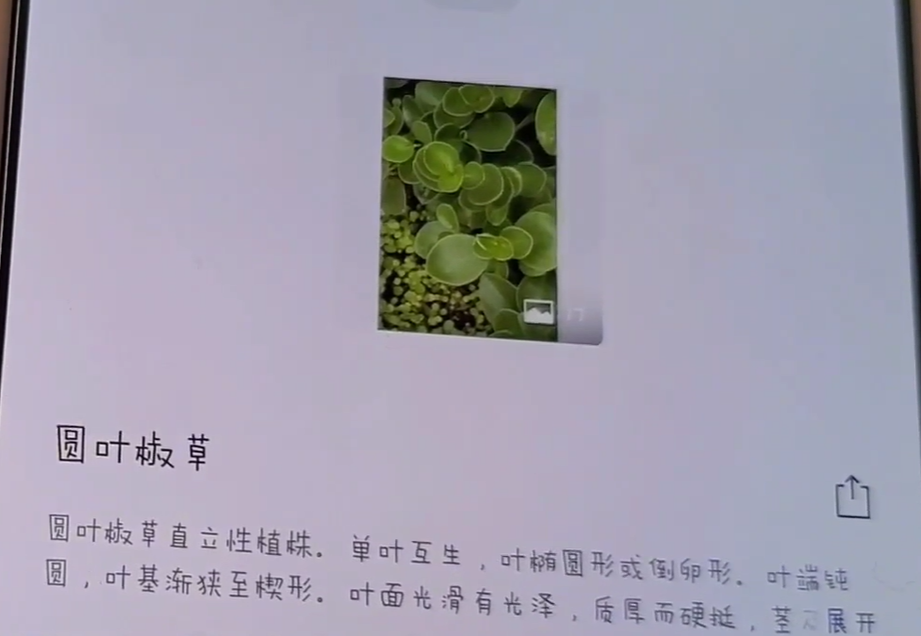 微信“+”号除了扫码，还隐藏这3个功能，学会之后真实用