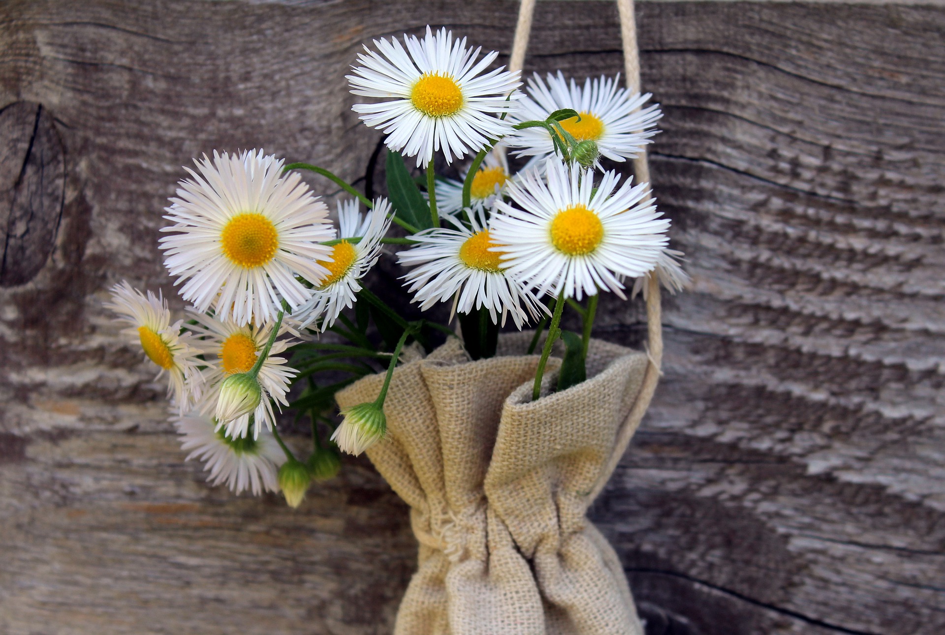 2022清明节，12条缅怀先辈的句子，表达哀思心情