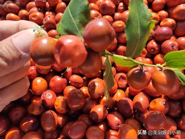 含维生素c的水果（维生素C含量最多的10种水果）