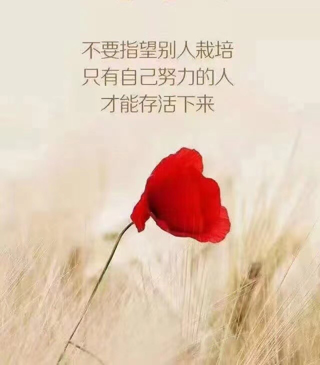 励志语录 做了就不要后悔，不做才后悔