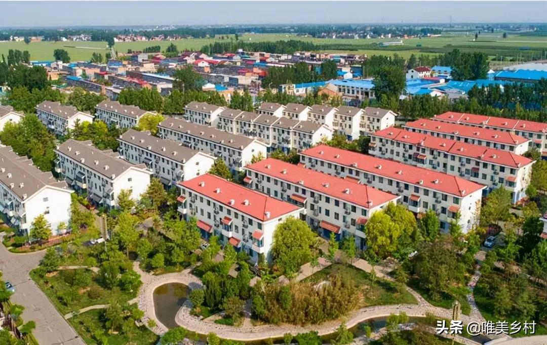 沦为负债，倒逼农村集体经济革新？关键在于，联农带农机制的创新