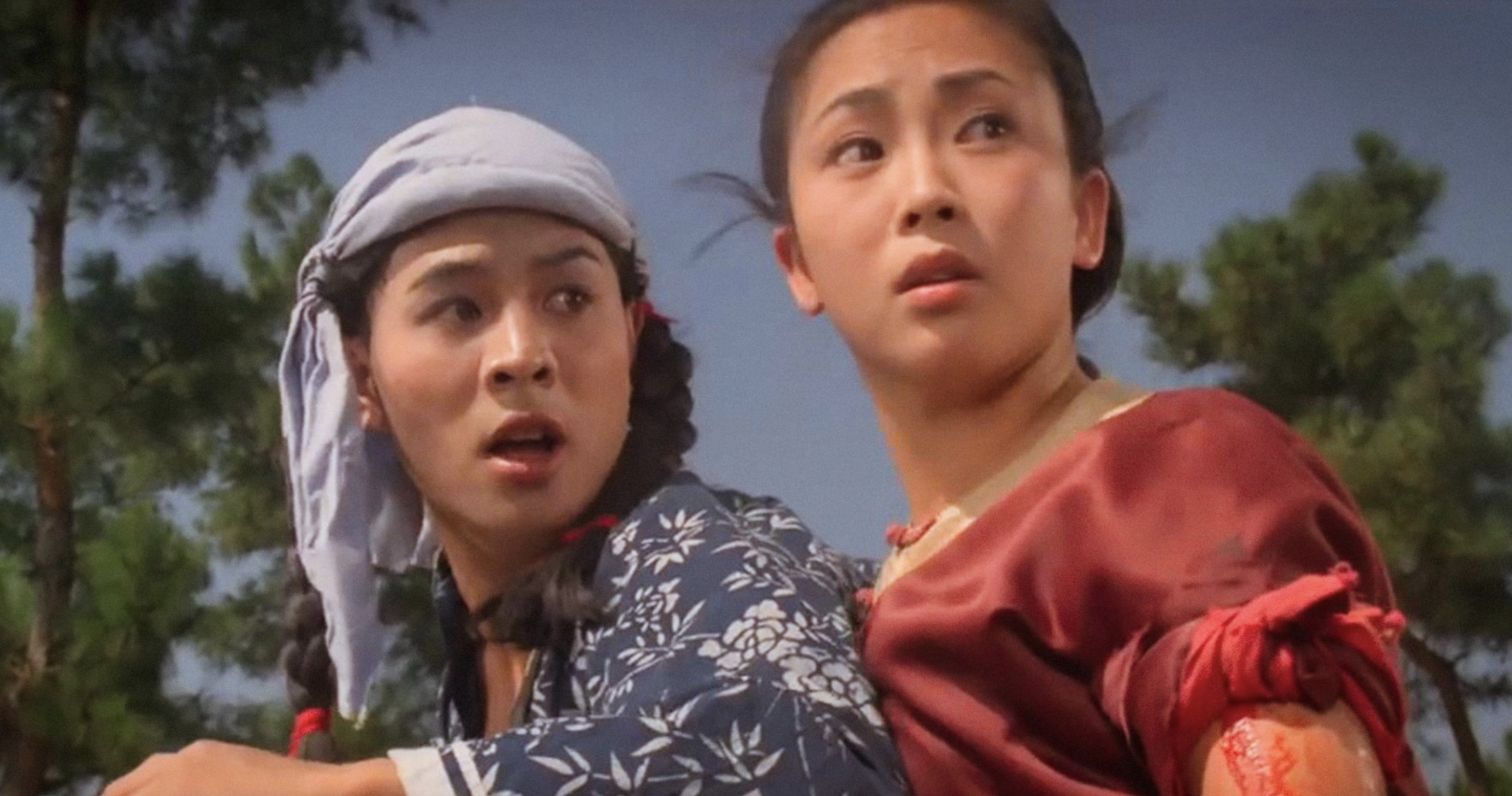 之后的《南北少林》中,两人又成为了搭档.