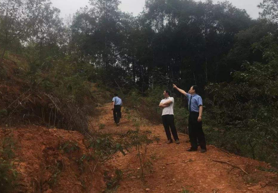 世界上最记仇的六种动物，天生好斗爱打架，能记你很多年