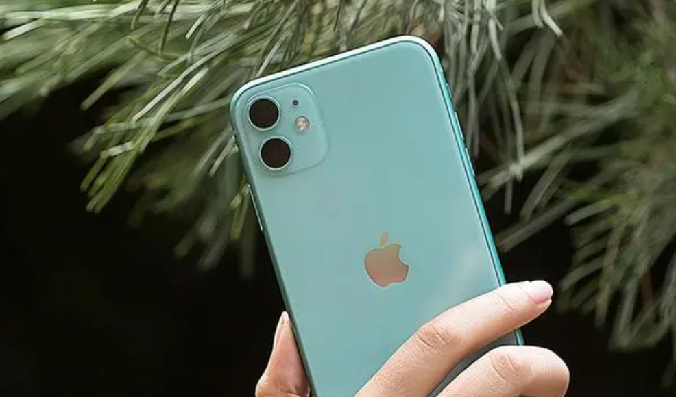 iphone11(mi)iphone11׿(shao)ף-ʳƷе