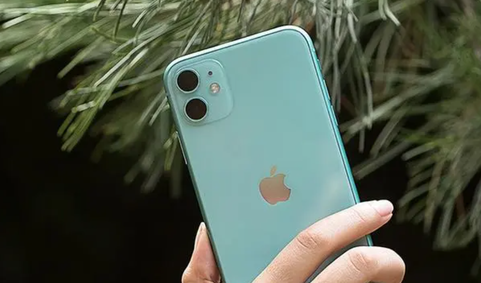 iphone11长多少厘米（iphone11长多少厘米宽多少厘米）-第6张图片-昕阳网