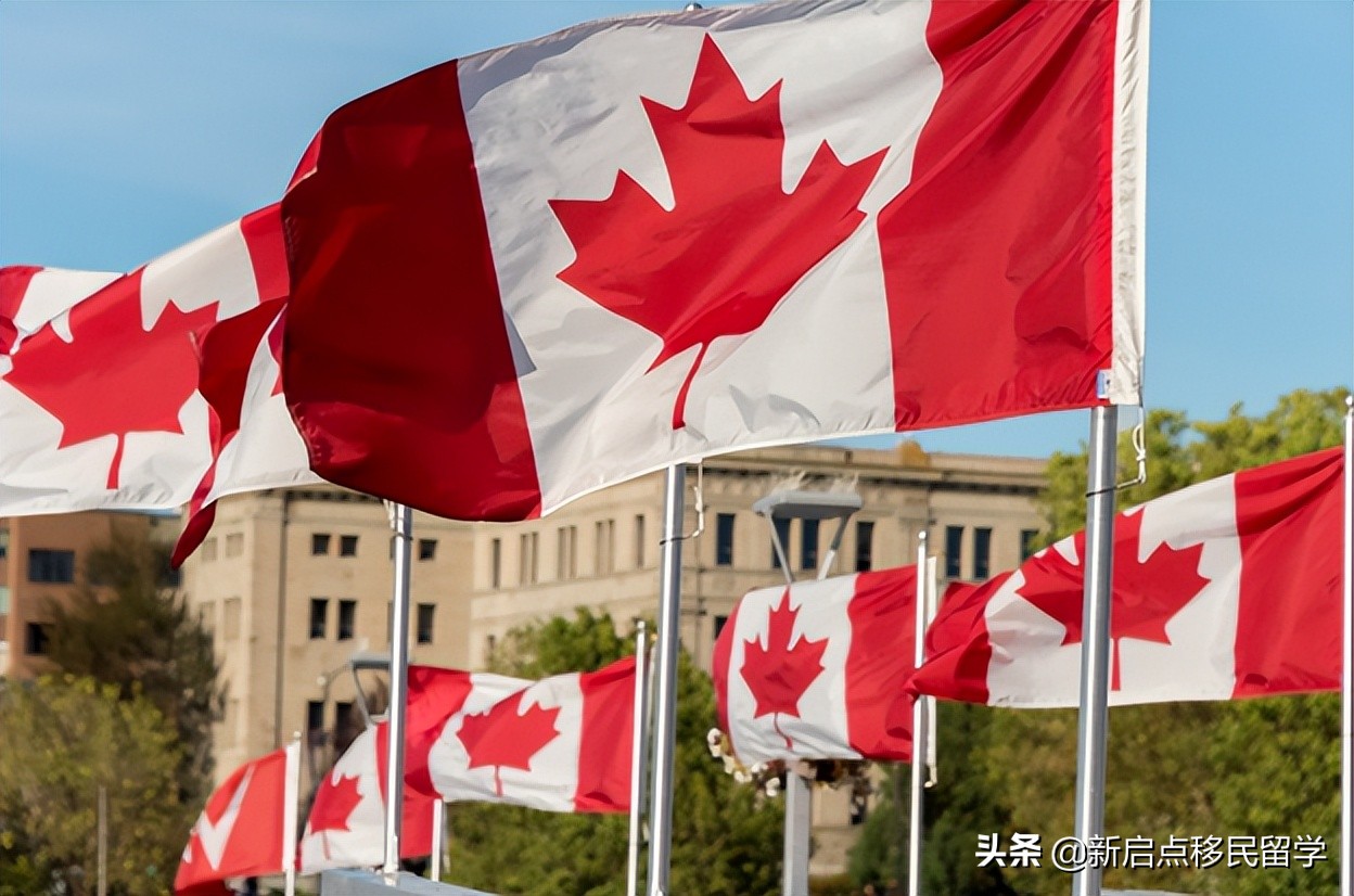 网红也可以申请加拿大自雇移民了！政府推出多项新政