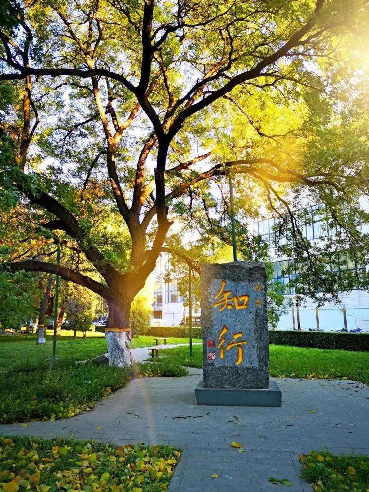 北京交通大学：近100年前就这个名字，如今信息管理等是优势学科